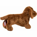 Dilly Dachshund