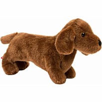 Dilly Dachshund