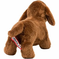 Dilly Dachshund