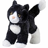Snippy Black/White Cat