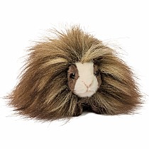 Angora Guinea Pig