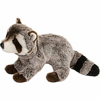 Ringo Raccoon
