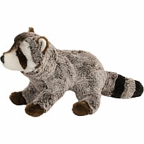 Ringo Raccoon