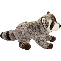 Ringo Raccoon