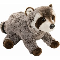 Ringo Raccoon
