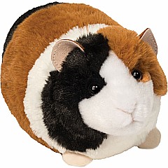Pippin Guinea Pig