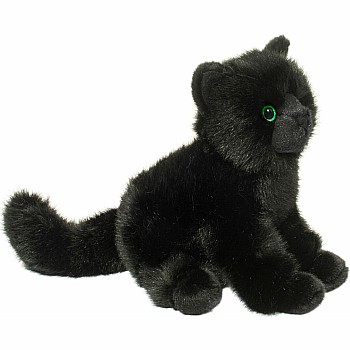 Salem Black Cat