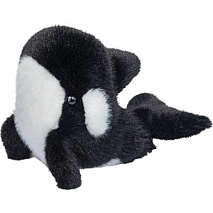 Lil' Baby Orca Whale