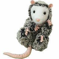 Lil' Baby Possum