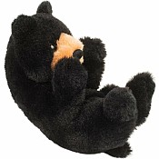 Lil' Baby Black Bear