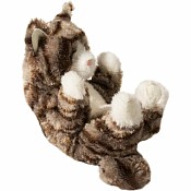 Gray Strp Kitn Handful