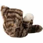 Gray Strp Kitn Handful