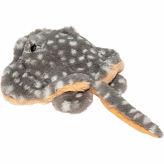 Stella Stingray