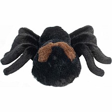 Sneakie Soft Spider