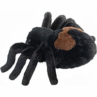 Sneakie Soft Spider