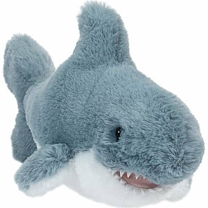 Torpedo Shark