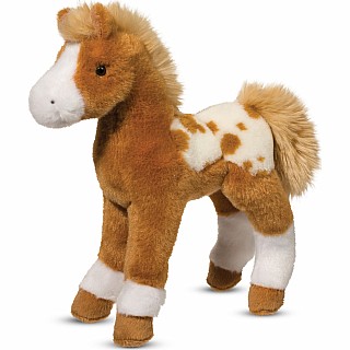 Freckles Gld Appl Foal