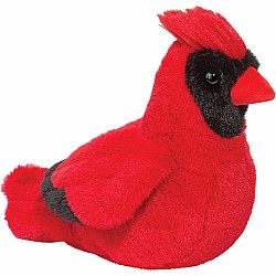 Carlie Cardinal Soft