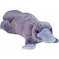 Allie Platypus Soft Plush