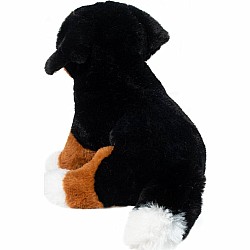 Bowie Bernese Mountain Dog Soft