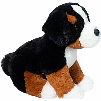 Bowie Bernese Mountain Dog Soft