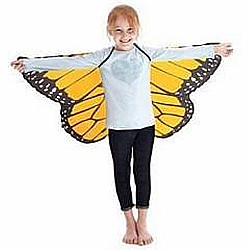 Or Mon Butterfly Wings