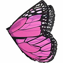 Pk Mon Butterfly Wings