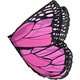 Pk Mon Butterfly Wings