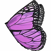 Prple Mon Butterfly Wing
