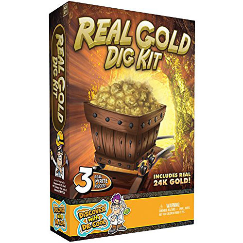 Real Gold Dig Kit - Dig Up Real Pyrite Nuggets (Vial of Real Gold  Included!) - Givens Books and Little Dickens
