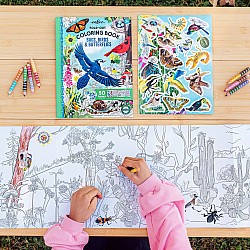 Fold Out Coloring Book, Bugs, Birds, and Butterflies