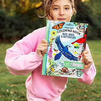 Fold Out Coloring Book, Bugs, Birds, and Butterflies