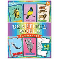 Beautiful World Flash Cards