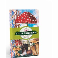 Fumiha's Little Book Set - Mushrooms