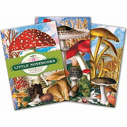 Fumiha's Little Book Set, Mushrooms