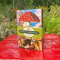 Fumiha's Little Book Set - Mushrooms