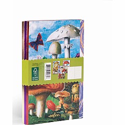 Fumiha's Little Book Set, Mushrooms
