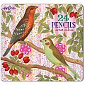 Birds with Berries 24 Color Pencils