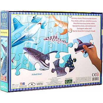 Eeboo "Love of Sharks" (100 Pc Puzzle)
