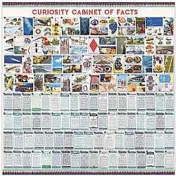 Curiosity Cabinet of Facts 1000 Piece Puzzle