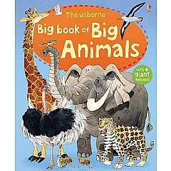 Big Book Of Big Animals (Ir)