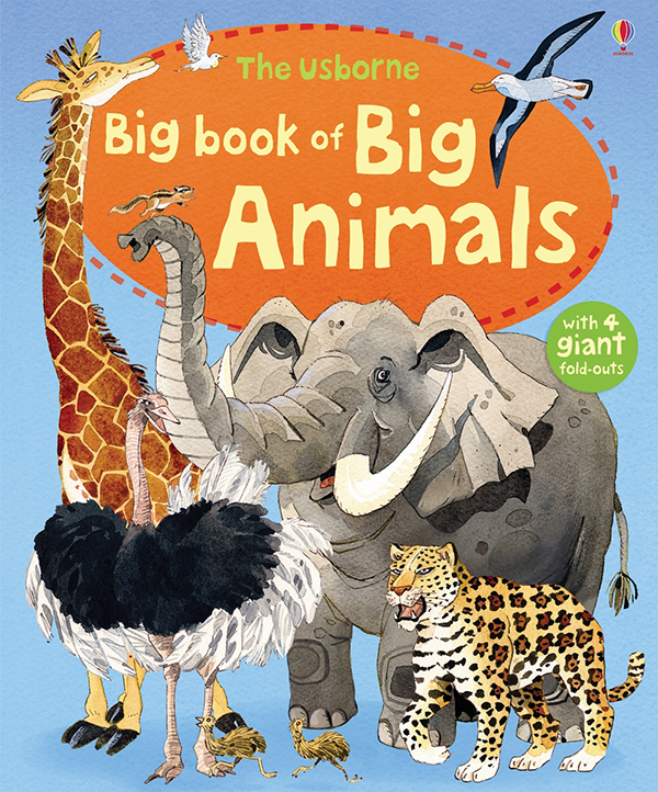 Big Book Of Big Animals (Ir) from EDC Publishing (Usborne / Kane Miller ...