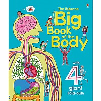 Big Book Of The Body (Ir)