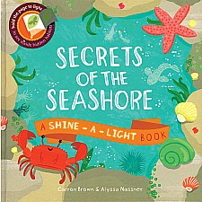Shine-A-Light, Secrets Of The Seashore