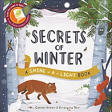 Shine-A-Light, Secrets Of Winter