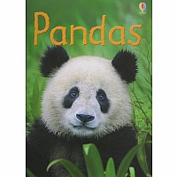 Pandas IR