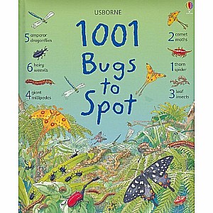 1001 Bugs To Spot