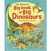 Big Book Of Big Dinosaurs (Ir)
