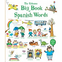 Big Book Of Spanish Words (Il)