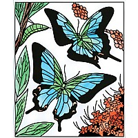 Magic Painting Book, Butterflies